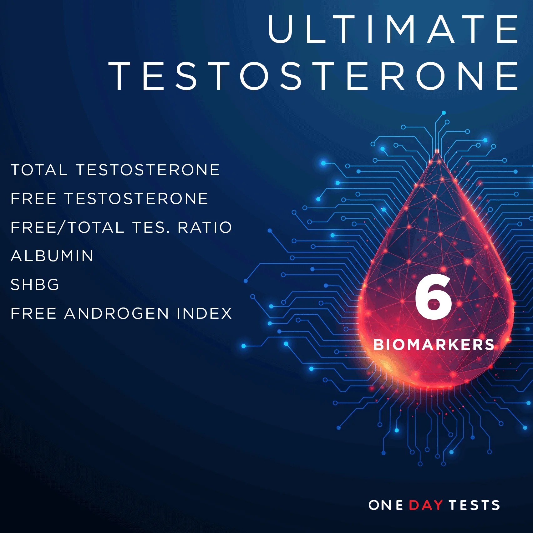 Blood Tests for Men